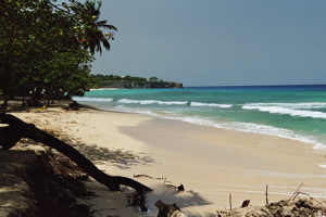 Strand Punta Cana Dom Rep