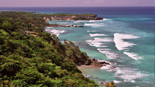 Strand in der Dominikanischen Republik