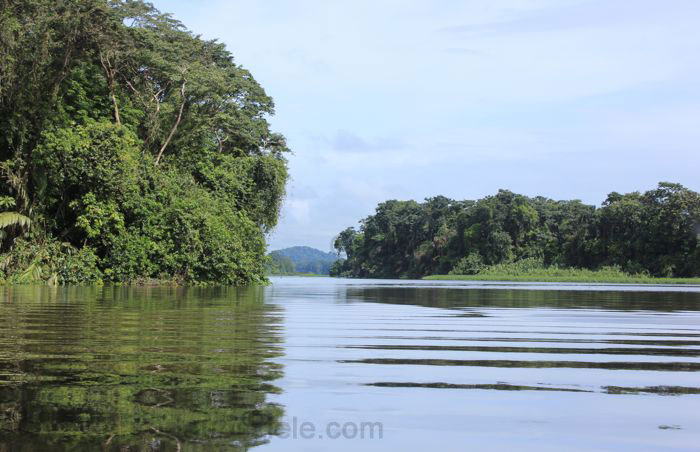 Amazonas in Brasilien