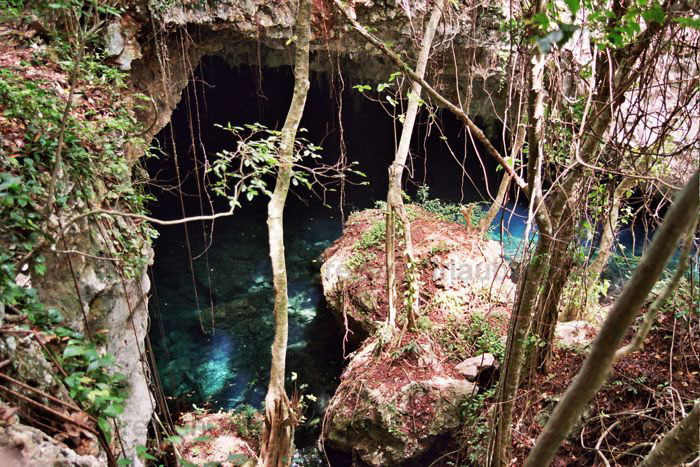 Cenote Riviera Maya, Mexiko