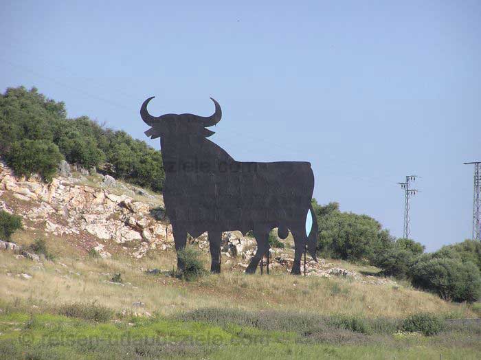 der Toro von Spanien